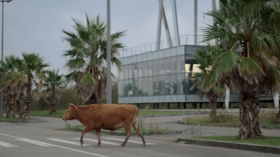 Film still: A brown cow walks across a road. Palm trees can be seen in the background, framing a futuristic building.